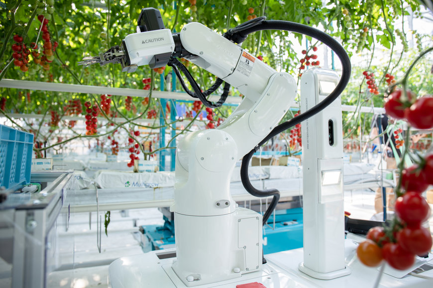 Robotertechnik für den europäischen Tomatenanbau